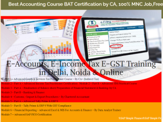 accounting-course-in-delhi-110012-ncr-by-sla-gst-and-accounting-institute-taxation-and-tally-prime-institute-in-delhi-noida