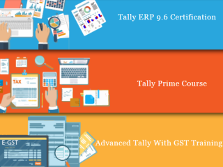 tally-course-in-delhi-110019-sla-gst-and-accounting-institute-taxation-and-tally-prime-institute-in-delhi-noida