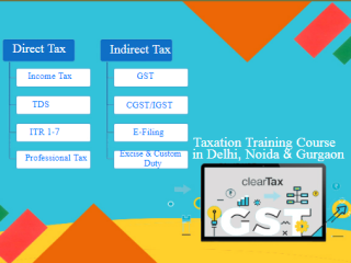 gst-course-in-delhi-110085-sla-accounting-institute-taxation-and-tally-prime-institute-in-delhi-noida-july-offer24
