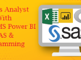 business-analyst-training-course-in-delhi-110085-best-online-live-business-analytics-training-in-chandigarh-by-iit-faculty-100-job-in-mnc
