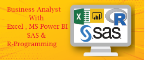 business-analyst-training-course-in-delhi-110085-best-online-live-business-analytics-training-in-chandigarh-by-iit-faculty-100-job-in-mnc-big-0