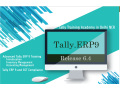 tally-prime-course-in-delhi-110024-sla-accounting-institute-taxation-and-tally-prime-institute-in-delhi-noida-july-offer24-small-0