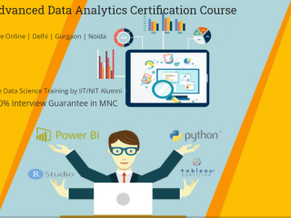 data-analyst-course-in-delhi-110008-best-online-live-data-analyst-training-in-bhopal-by-iit-faculty-100-job-in-mnc