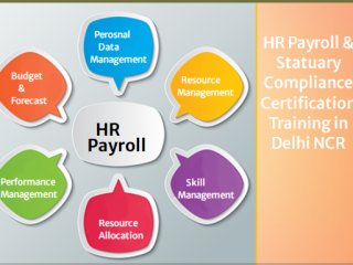 hr-training-course-in-delhi110041-with-free-sap-hcm-hr-by-sla-consultants-institute-in-delhi-ncr-100-placement-learn-new-skill-of-24